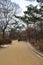 The walkway at Changgyeong palace area