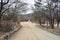 The walkway at Changgyeong palace area