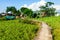 Walkway in countryside