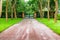 Walkway covered tunnel Trees