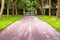 Walkway covered tunnel Trees