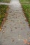 Walkway with fallen dry leaves