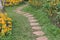 walkway & flower in garden. pathway between flowerbed in park.