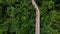 Walkway in the forest on bird eye view