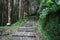 The walkway in forest have beautiful environment at taiwan.