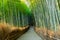 walkway in green bamboo forest, tourist famous place in Japan, Kyoto, Arashiyama