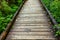 walkway through greenery in late summer in western washington