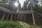 Walkway inbetween the trees at the Talschluss in Saalbach