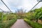 Walkway inside a garden with a cloudy sky. there is a large tree with a few leaves