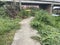 Walkway in Khlong Preng canal at country Chachoengsao Thailand