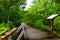 Walkway into Krabi Mangrove Forest