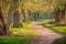 Walkway Lane Path With Green Trees in Forest. Beautiful Alley In Park. Pathway, natural tunnel, Way Through Summer Forest