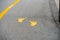 Walkway lane with yellow footsteps signs near yellow line on pavement road in public park