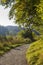 Walkway through marsh area, autumnal landscape