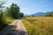 Walkway through moor landscape Murnauer Moos, upper bavaria