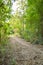 Walkway nature in Nakhon nayok