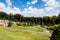 Walkway near green grass, bushes and trees