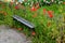 Walkway near a wooden fence with a bench where meadow flowers grow. Grandma has just left and there is a place of interlocking con