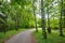 Walkway next to the trees in park