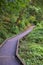 Walkway in Oaks Bottom Wildlife Refuge