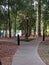 Walkway outside with fountain and lake