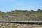 Walkway over a dune area