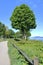 Walkway Overlooking English Bay