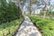 Walkway in the park and bushes and small flowers with sunlight