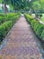 A walkway in park made up of stone , plants surrounding both side of road.