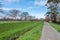 A walkway through a park in Palmerston North New Zealand