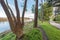 A walkway through a park in Palmerston North New Zealand