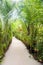 Walkway path through tropical jungle to beach resorts Little Co