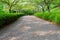 Walkway pathway curve in public park without people