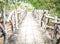 Walkway pathway footbridge in park