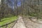 Walkway paved with logs