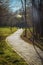 Walkway of paving stones in the park