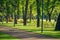 Walkway in the public park. Empty bicycle road in city park