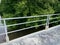 Walkway with Railings Along Mangrove Forest