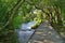 Walkway on the Skradinski Buk Trail