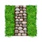 Walkway of Smooth Cobblestones Rested on Green Lawn Grass as Landscape Design Vector Illustration