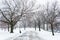 Walkway in the snow, in Patterson Park, Baltimore, Maryland