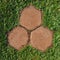 Walkway Stones on a grass pathway