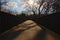 Walkway in a sunny winter marsh