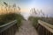 Walkway to the Beach Outer Banks