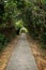 Walkway and tree tunnel at the Lamma Island