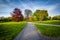 Walkway and trees at Cylburn Arboretum, in Baltimore, Maryland.