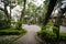 Walkway and trees at National Taiwan University, in Taipei, Taiwan.