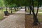 Walkway among the trees in the park and a bench after the rain.