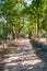 Walkway trough the abandoned Maharishi Mahesh Yogi Ashram