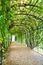 Walkway under ornamental climbing plants at Schonbrunn Palace